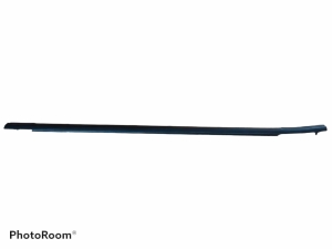 Rear side door outer window molding - ERFL1