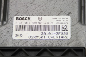 Kia Sorento (2009–2014) Motorsteuergerät 391012F020 - 3