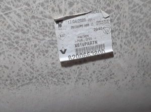RENAULT Kangoo (2008–2020) Dachhimmel 8200663800 - 2