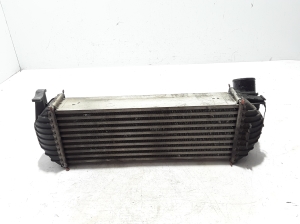 RENAULT Kangoo (2008–2020) Vahejahuti radiaator 8200427469 - 2