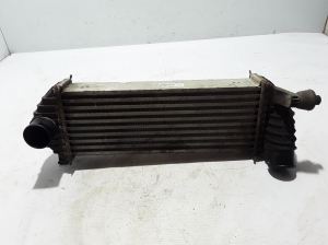   Vahejahuti radiaator  - 8200427469 