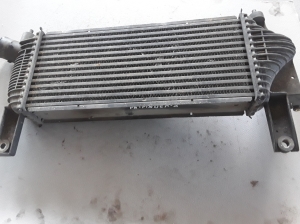 NISSAN Navara (2005–2015) Ladeluftkühler 14461EB360 - 2