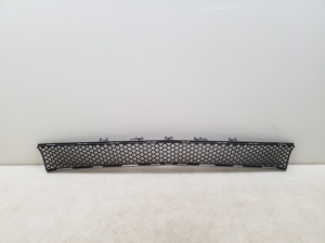   Front bumper lower grille 