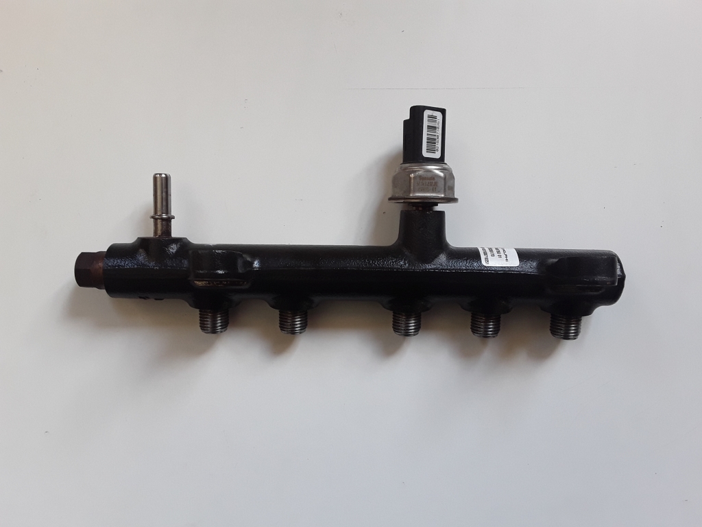 FORD Kuga 2 generation (2013-2020) Топливная рейка 9674300080,9674300080 27645794