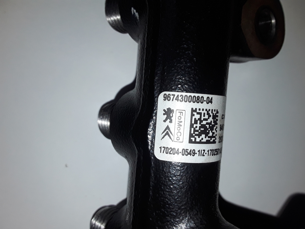 FORD Kuga 2 generation (2013-2020) Топливная рейка 9674300080,9674300080 27645794