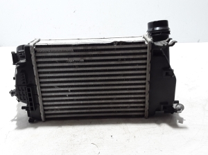 RENAULT Kadjar (2015–2026) Vahejahuti radiaator 144614EB1A - 3
