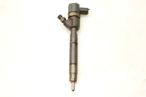   Fuel injector 