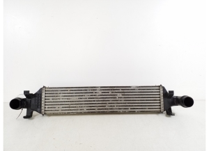 Intercooler - A2465000100