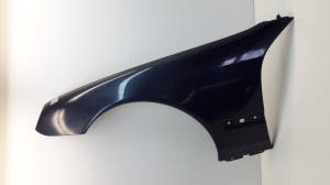Front fender - A2158800118