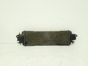 NISSAN Primastar X83 (2001–2014) Ladeluftkühler 93850451 - 4