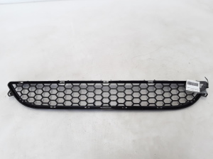  Front bumper lower grille 