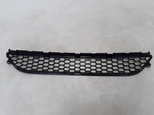  Front bumper lower grille 