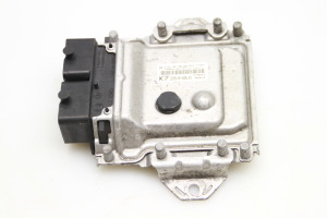 Engine control unit - 3391069L01