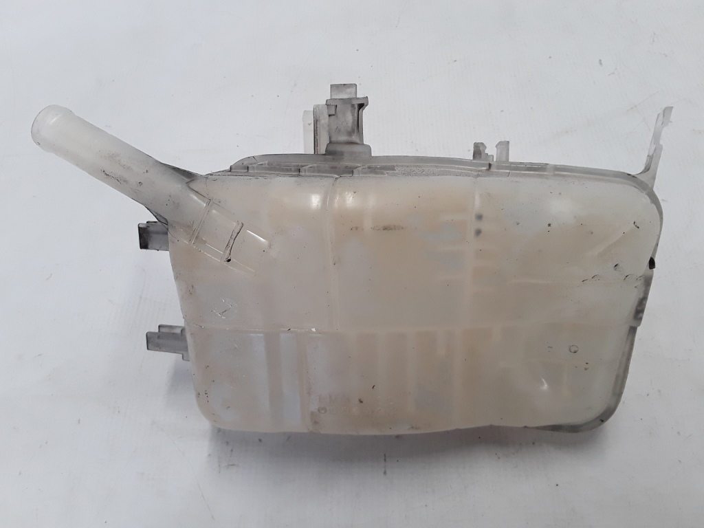 RENAULT Megane 3 generation (2008-2020) Expansion Tank 217100005R 22300245