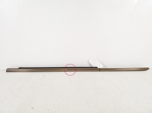 Rear side door outer window molding - A2117350565