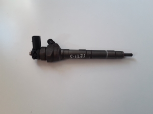   Fuel injector 