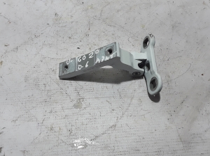  Rear side door hinge lower 