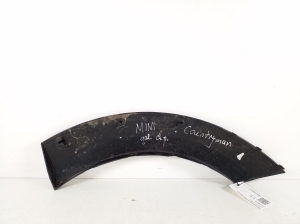 Mini Countryman R60 (2010–2016) Abdeckung Kotflügel hinten 51779800770 - 4