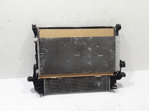  Radiator set and its details 