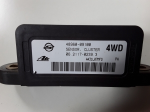 SsangYong Rexton (2006–2012) Computer-ESP 4896009100 - 3