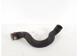   Cooling radiator hose 