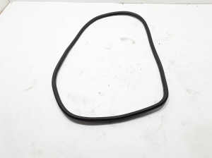 Rear side door sealing rubber on the body - 769249583R
