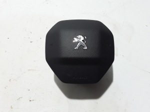 Steering wheel airbag - 98255207ZD