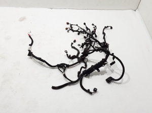 Engine wiring harness - 241102354R
