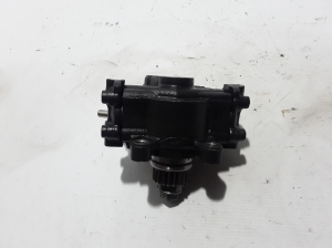 Kraftstoffpumpe - 167008683R