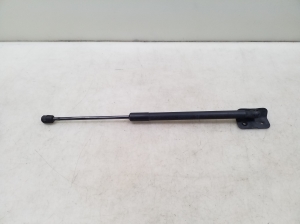   Trunk lid shock absorber 