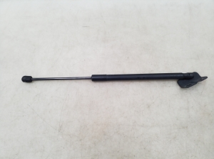   Trunk lid shock absorber 