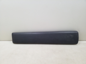 Front door molding - 8200036088