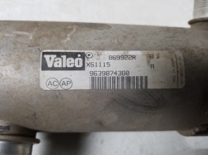 Peugeot 307 I (2000–2009) AGR-Ventilkühler 9639874380 - 2