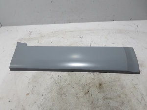  Rear side door strip 