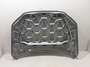 VOLVO V70 III (2007–2017) Motorhaube 31371418 - 2