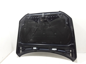 AUDI Q5 (2008–2017) Hood 8R0823029 - 4