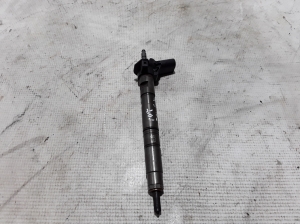   Fuel injector 