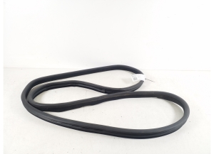   Rear side door sealing rubber 