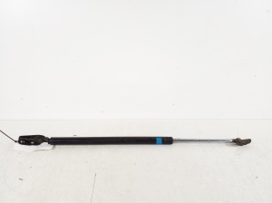 Trunk lid strut - 