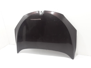 Motorhaube - 651009018R