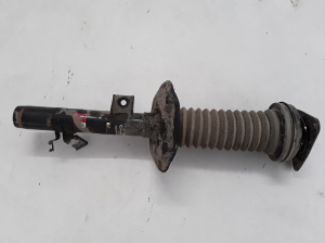   Stoßdämpfer vorne  - 543021811R 