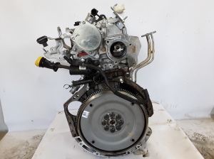 RENAULT Koleos (2016–2026) Motor M9R868 - 6