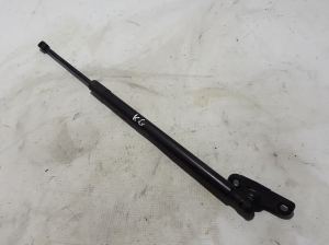 Land Rover Discovery Sport (2014–2026) Heckklappendämpfer FK72406A10AB - 2