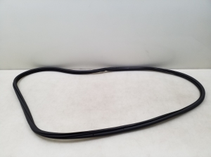 Rear side door sealing rubber on the body - 5G9867914A