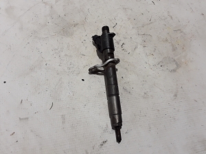   Fuel injector 