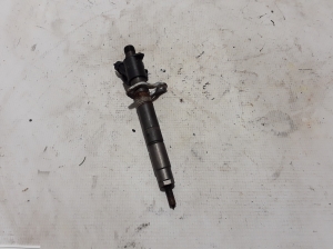   Fuel injector 