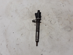   Fuel injector 