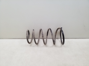 Front spring