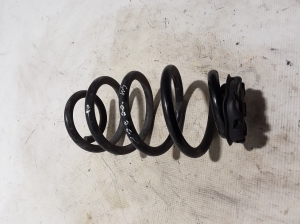 RENAULT Zoe (2012–2026) Rear spring 550203432R - 2
