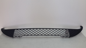  Front bumper lower grille 